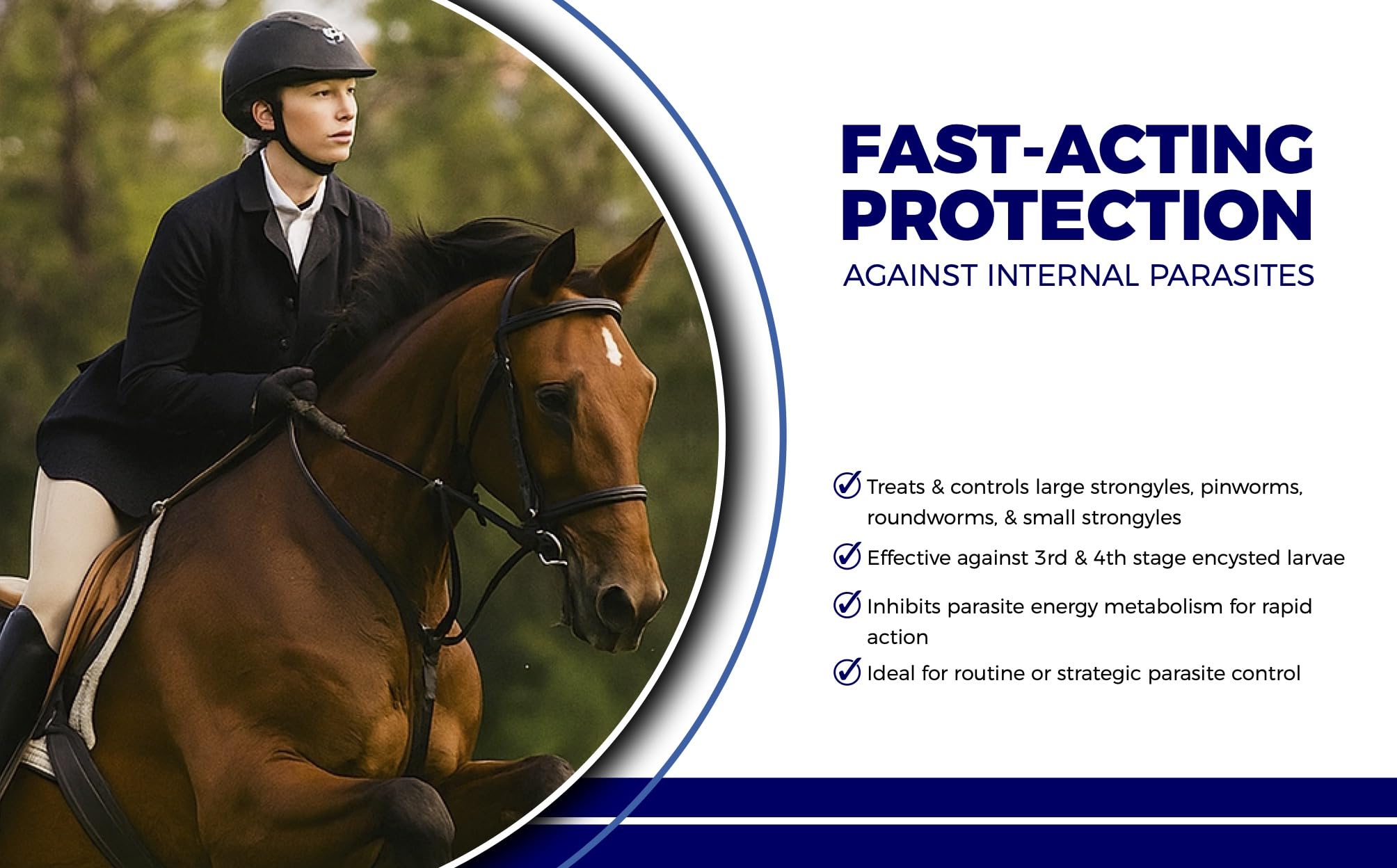 CLENVIA Pâte Cheval 10% – dose précise prête à administrer par voie orale