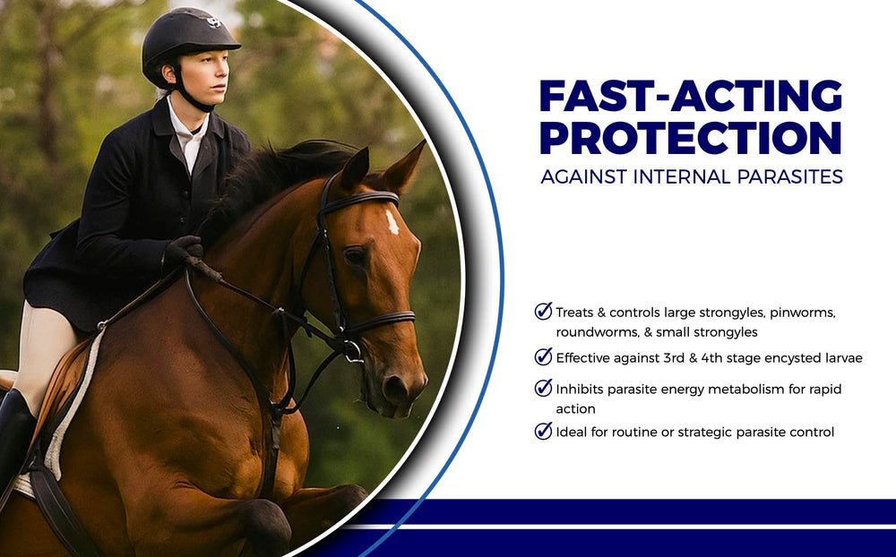 CLENVIA Pâte Cheval 10% – dose précise prête à administrer par voie orale