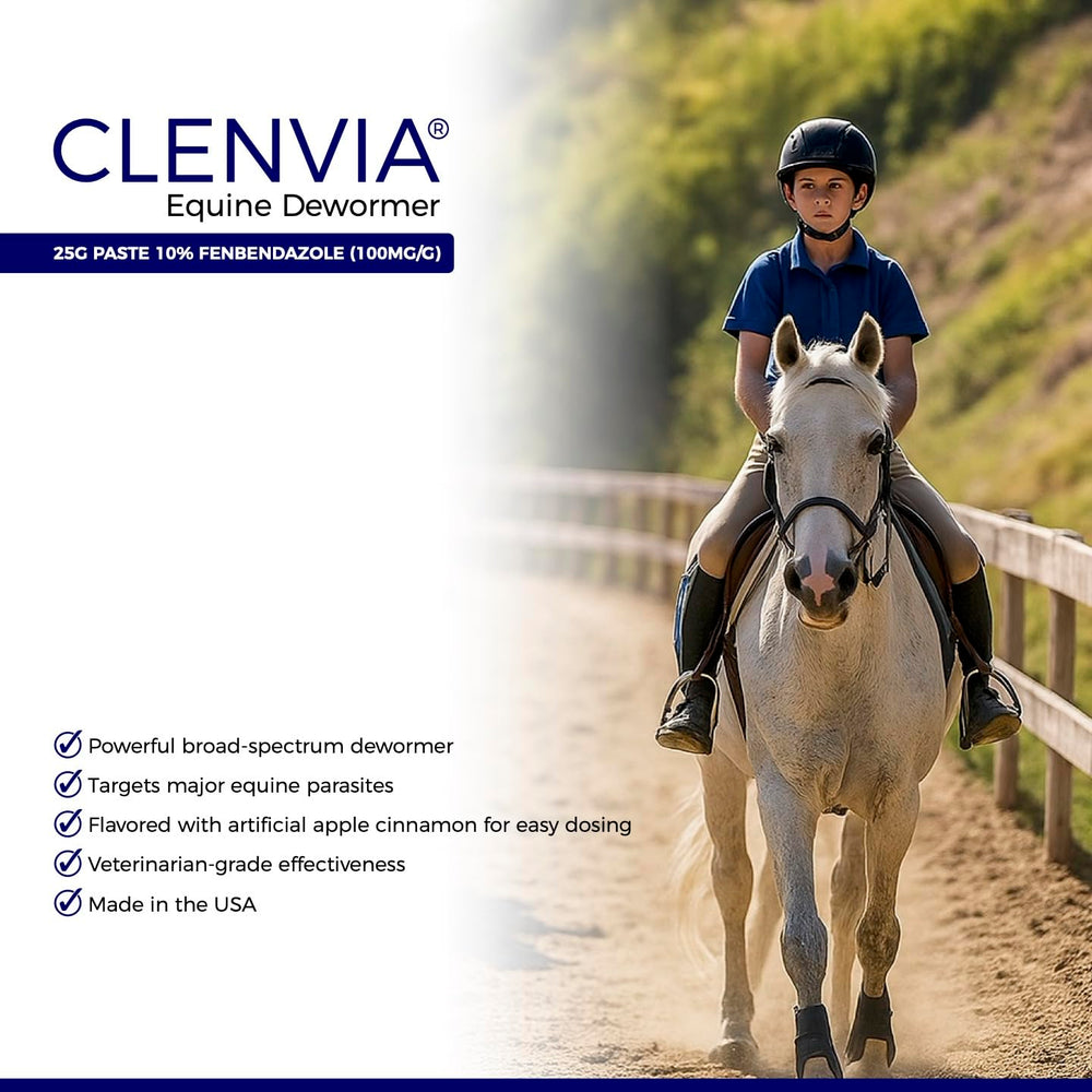 CLENVIA Pâte Cheval 10% – quatre seringues de 25 g prêtes à l’emploi