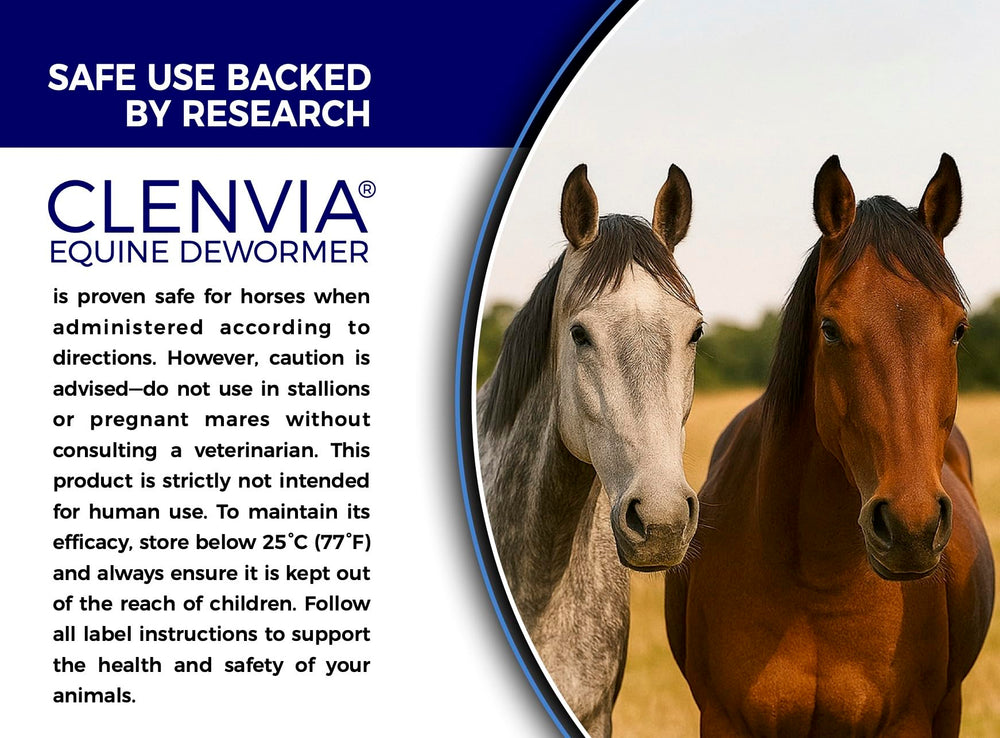CLENVIA Pâte Cheval 10% – texture pâte facile à administrer
