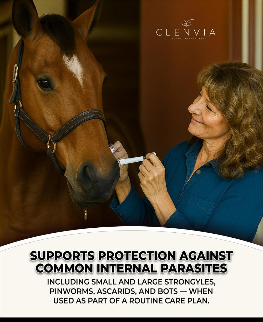 CLENVIA Pâte Cheval Applicateur Seringue, dosage sûr.