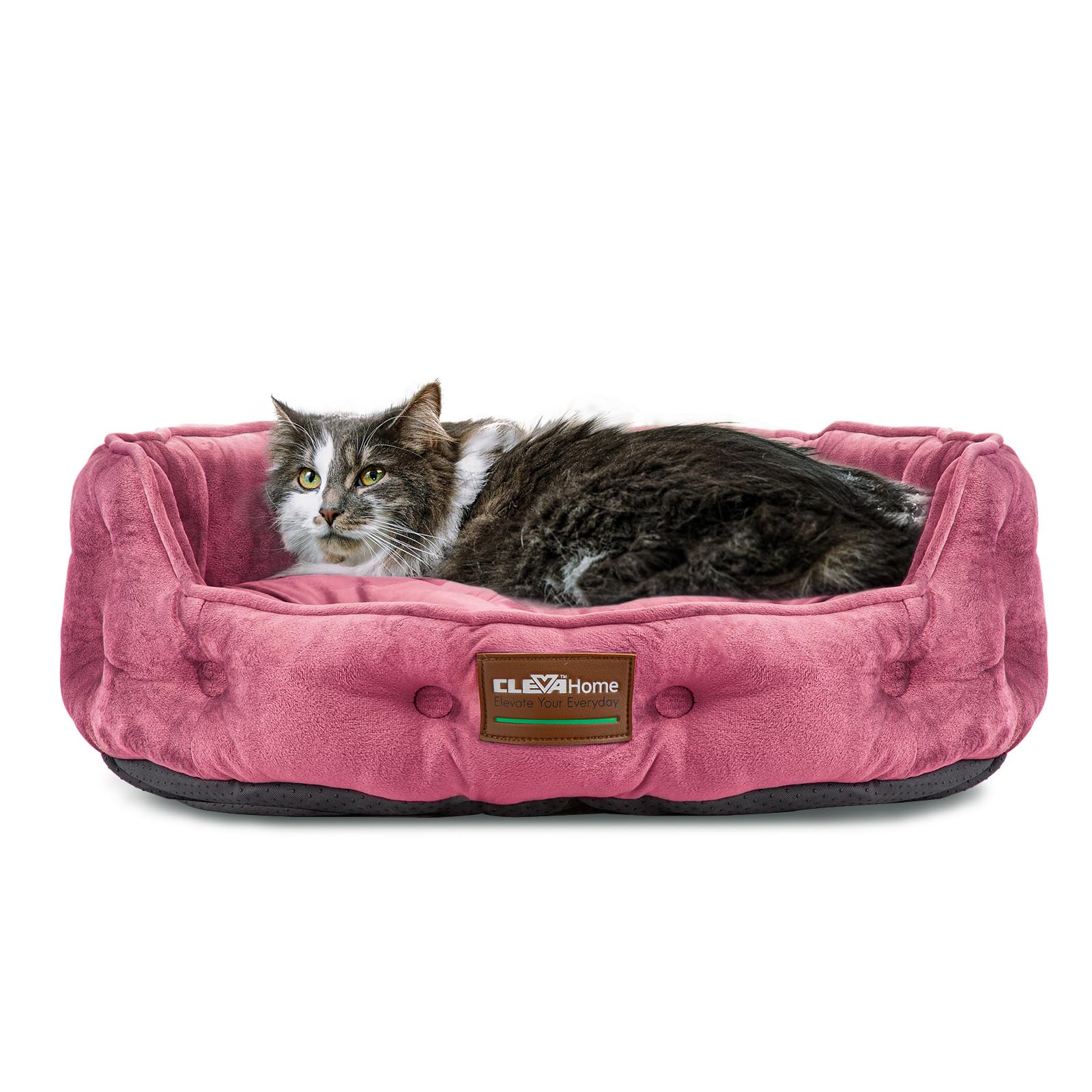 Lit ClevaHome prune-rose pour petits animaux, surface douce et accueillante.