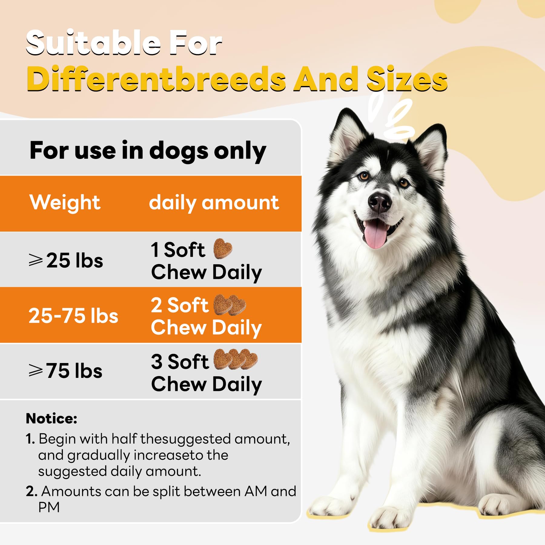 Gommes CleverasHealth colostrum et levure pour immunité chien.