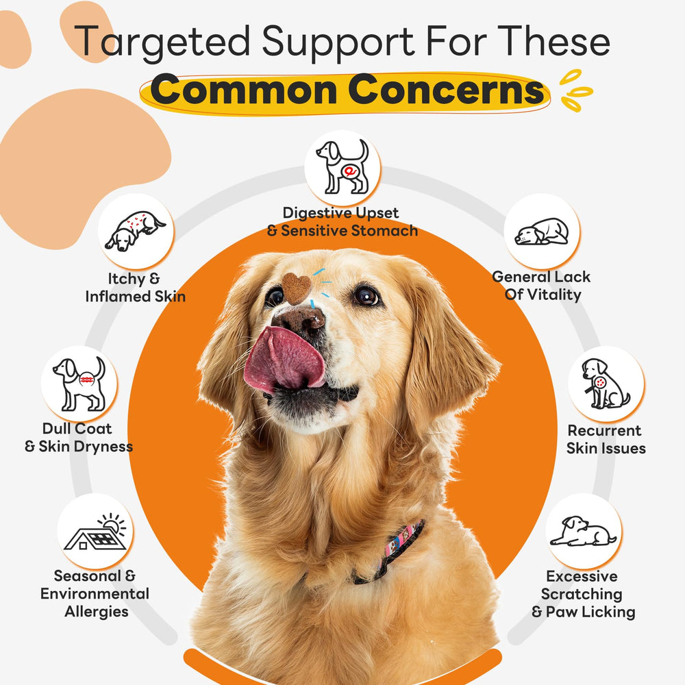 Gommes CleverasHealth soutien immunitaire chien.