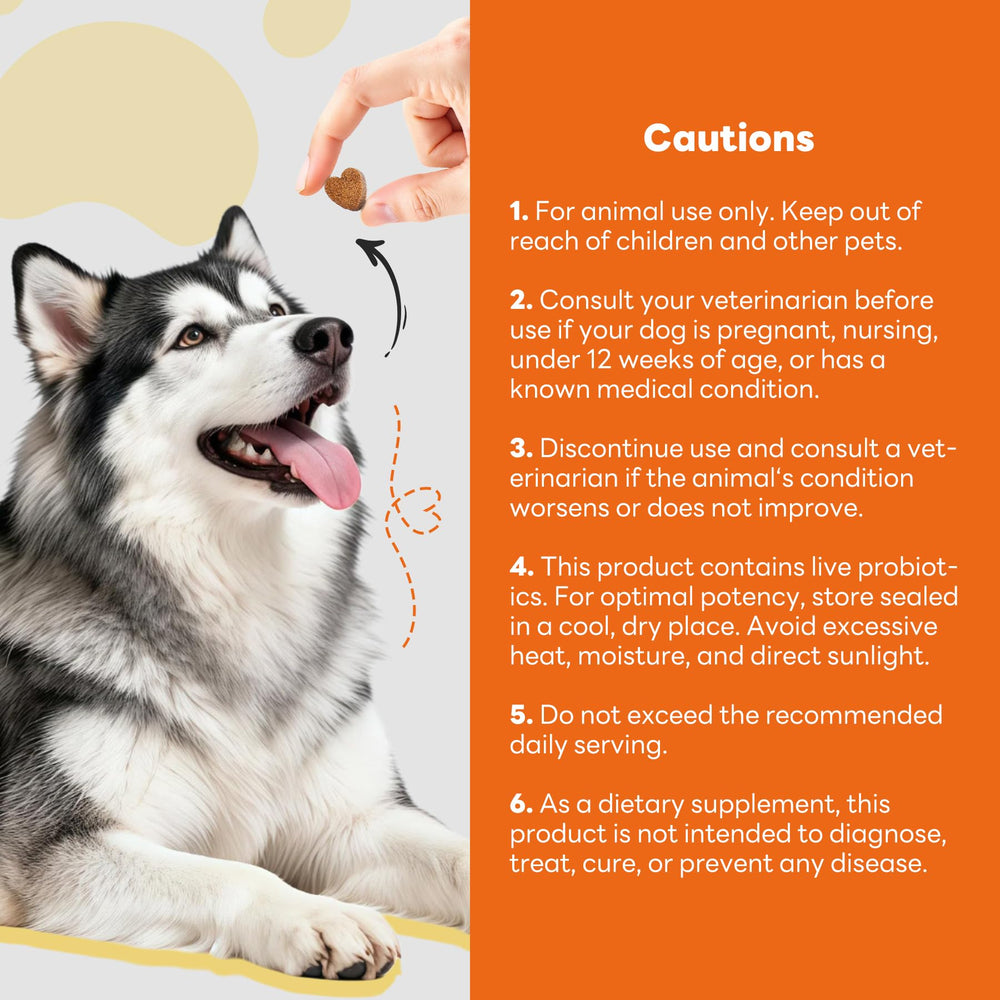 CleverasHealth Omega-3 Krill, peau et pelage du chien.