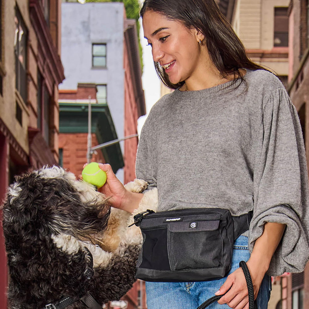 Cleverpup distributeur-sacs-crottes: solution pratique pour les sorties avec des sacs.