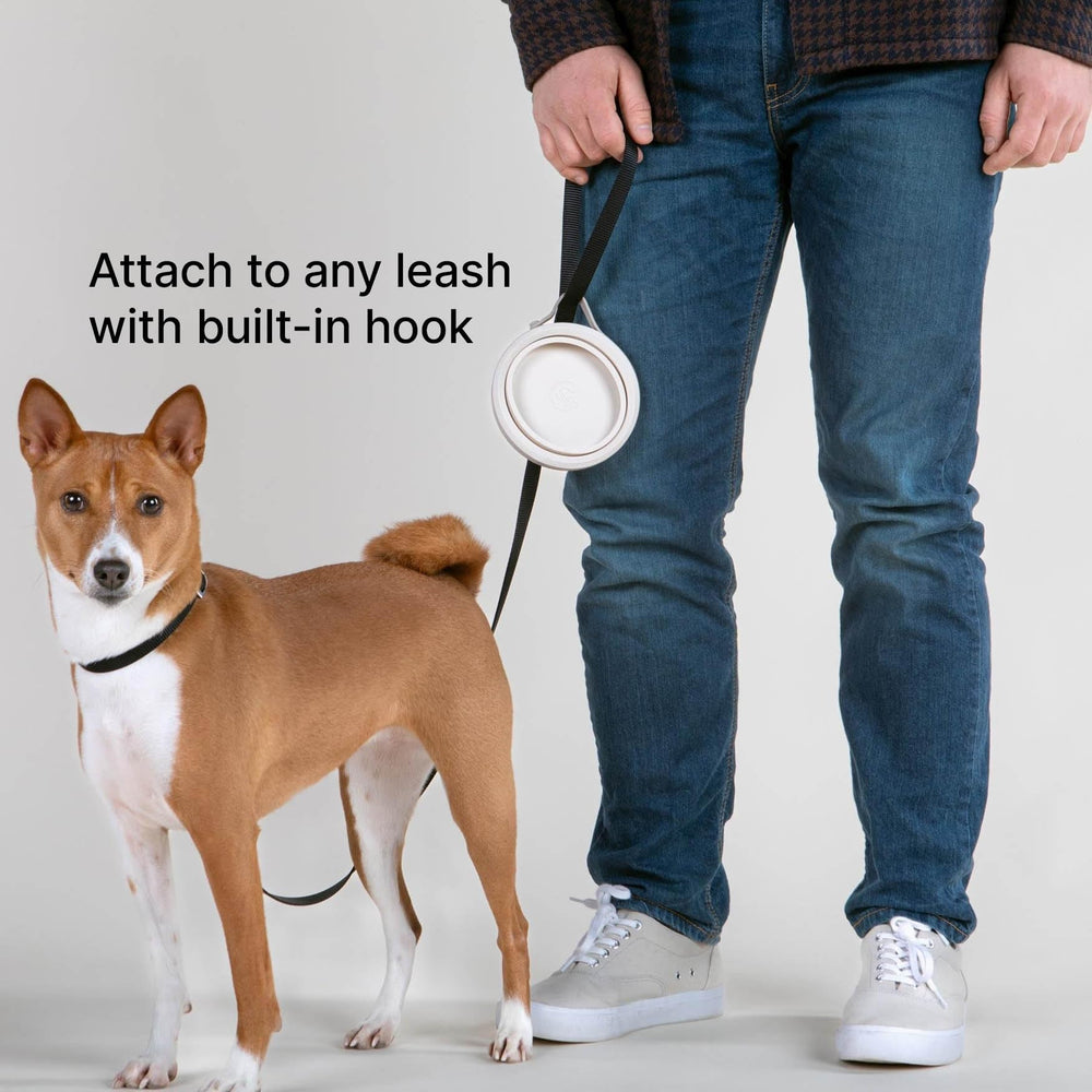 Cleverpup Nomad bol chien couleur sable, design élégant et portable.