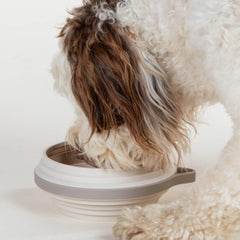 Cleverpup Nomad bol pliable ouvert, facile à transporter lors des promenades.