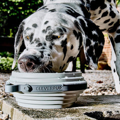 Cleverpup Nomad bol garde-éclaboussures, moins de dégâts lors des repas.