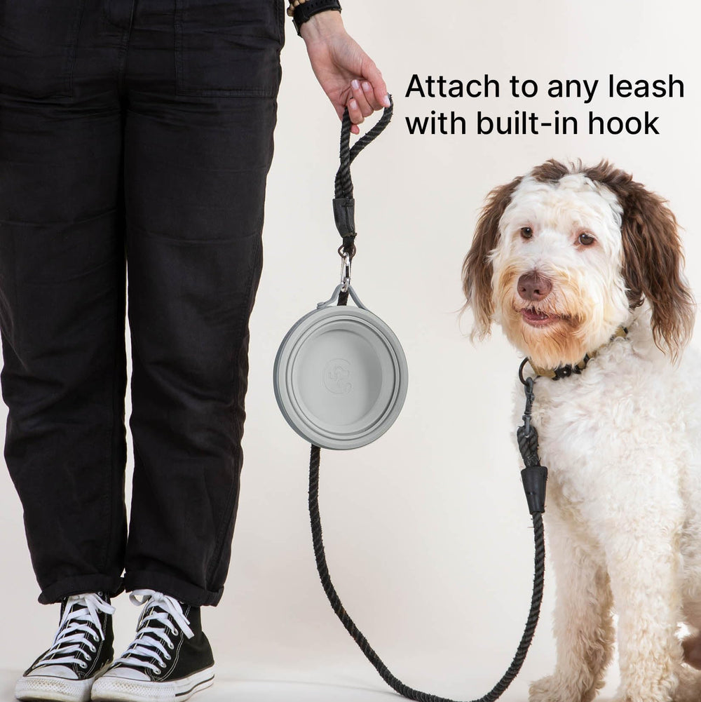 Cleverpup Nomad bol lave-vaisselle haut-rang, nettoyage facilité.