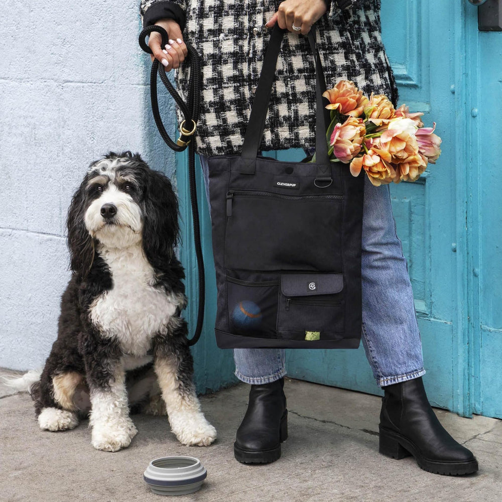 Rangements sécurisés Park Pack pour téléphone et objets précieux en sécurité