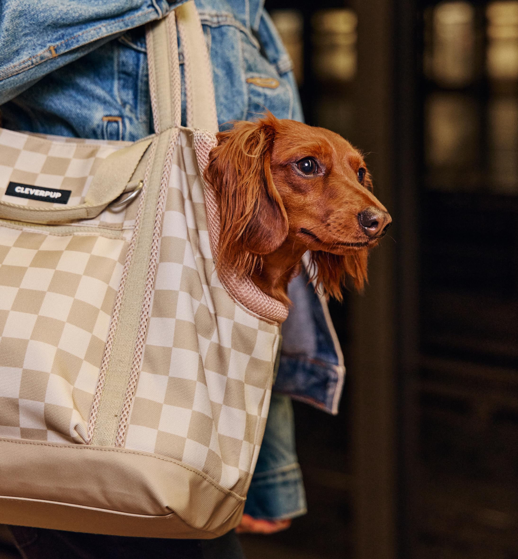 Cleverpup sac-de-transport petit-chien taille-petite adaptée.