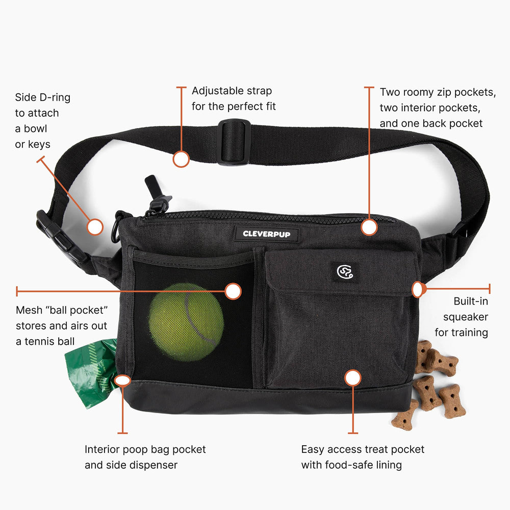 Cleverpup sifflet-integre: outil discret pour les exercices d’entraînement.