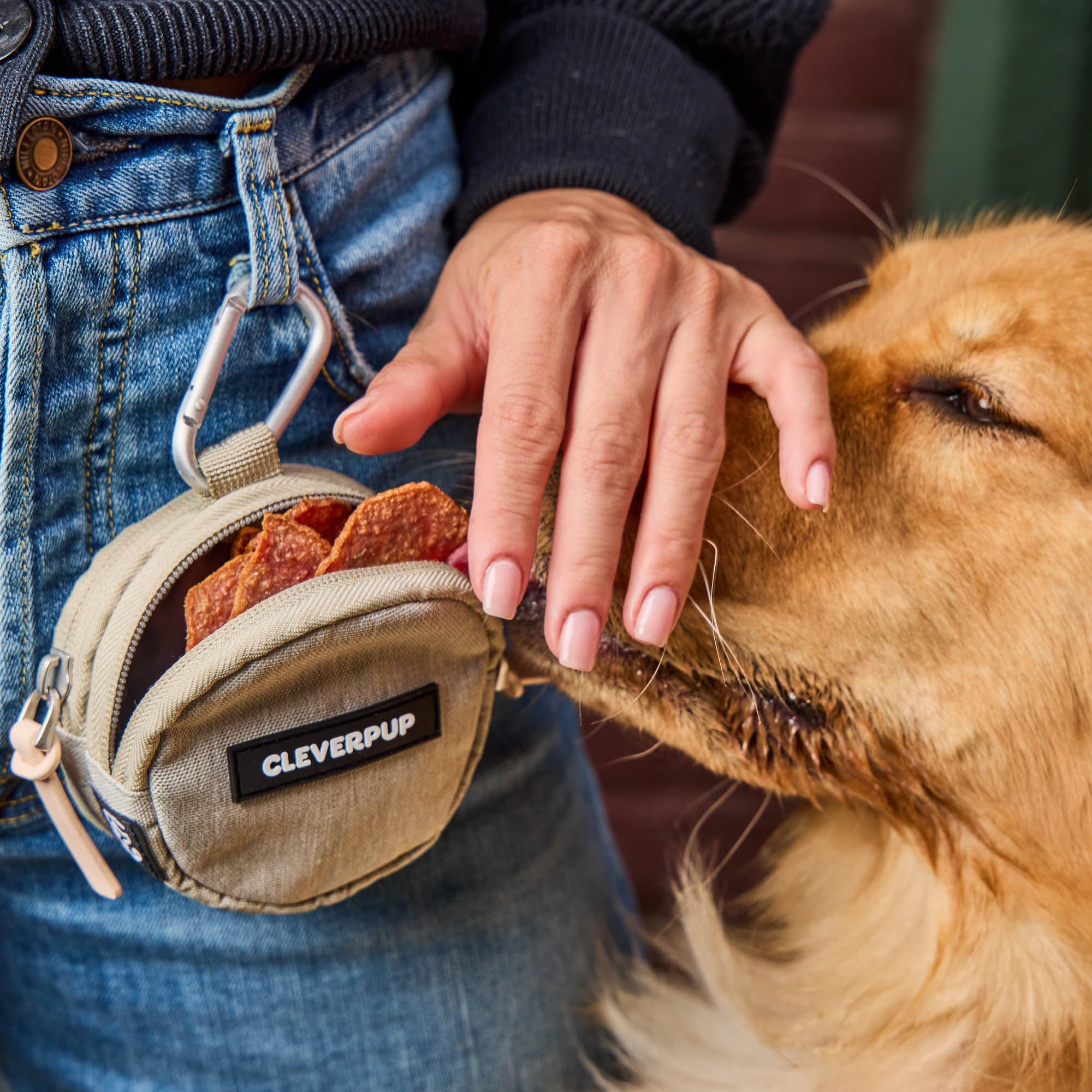Cleverpup Snackpack attache ceinture arrière pour un rangement sûr pendant les promenades