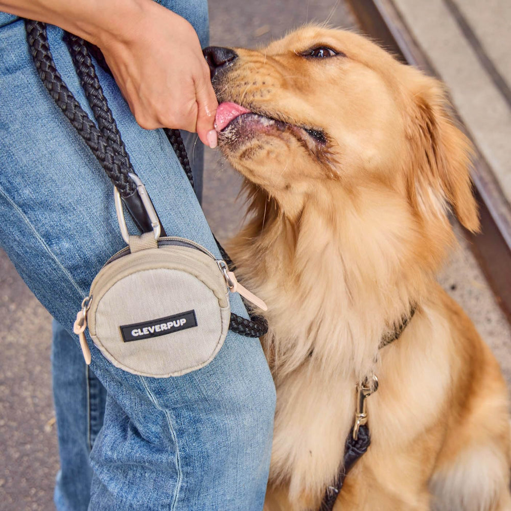 Cleverpup Snackpack mousqueton intégré pour attacher facilement à la ceinture ou harnais