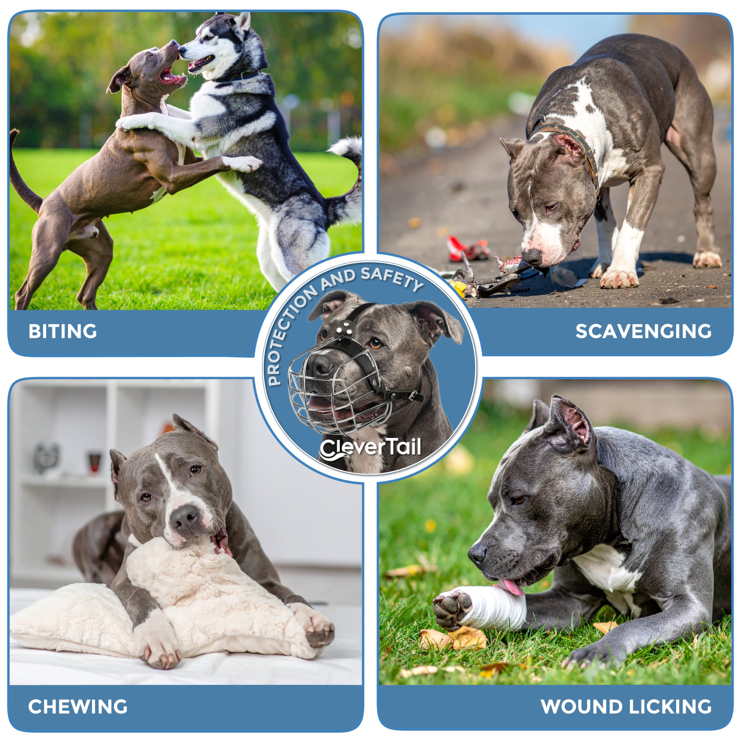 Confort et ajustement réglables de CleverTail pour chien actif.