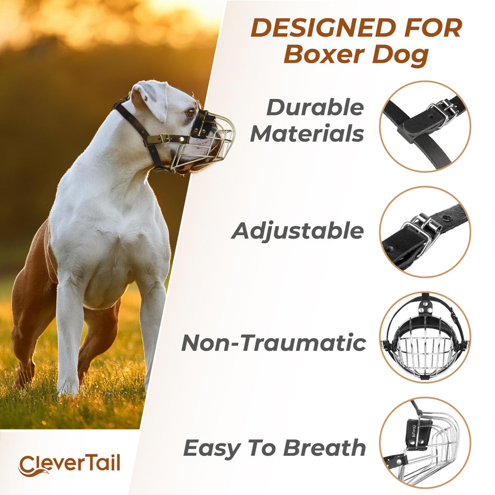CleverTail museau métallique boxeur, compatibilité avec boxers et bouledogues anglais.