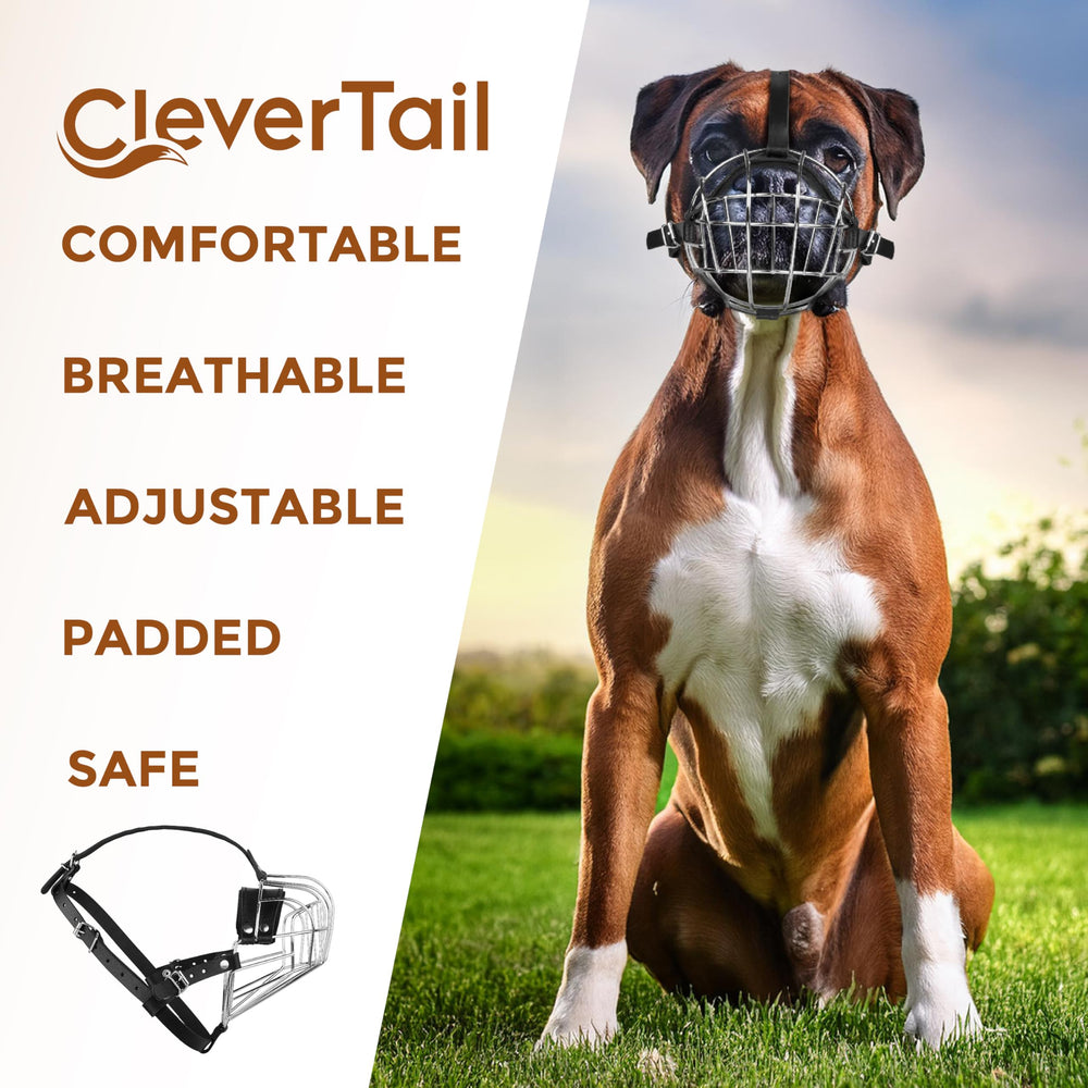 CleverTail museau métallique boxeur, vue détails acier et plaque, qualité supérieure.