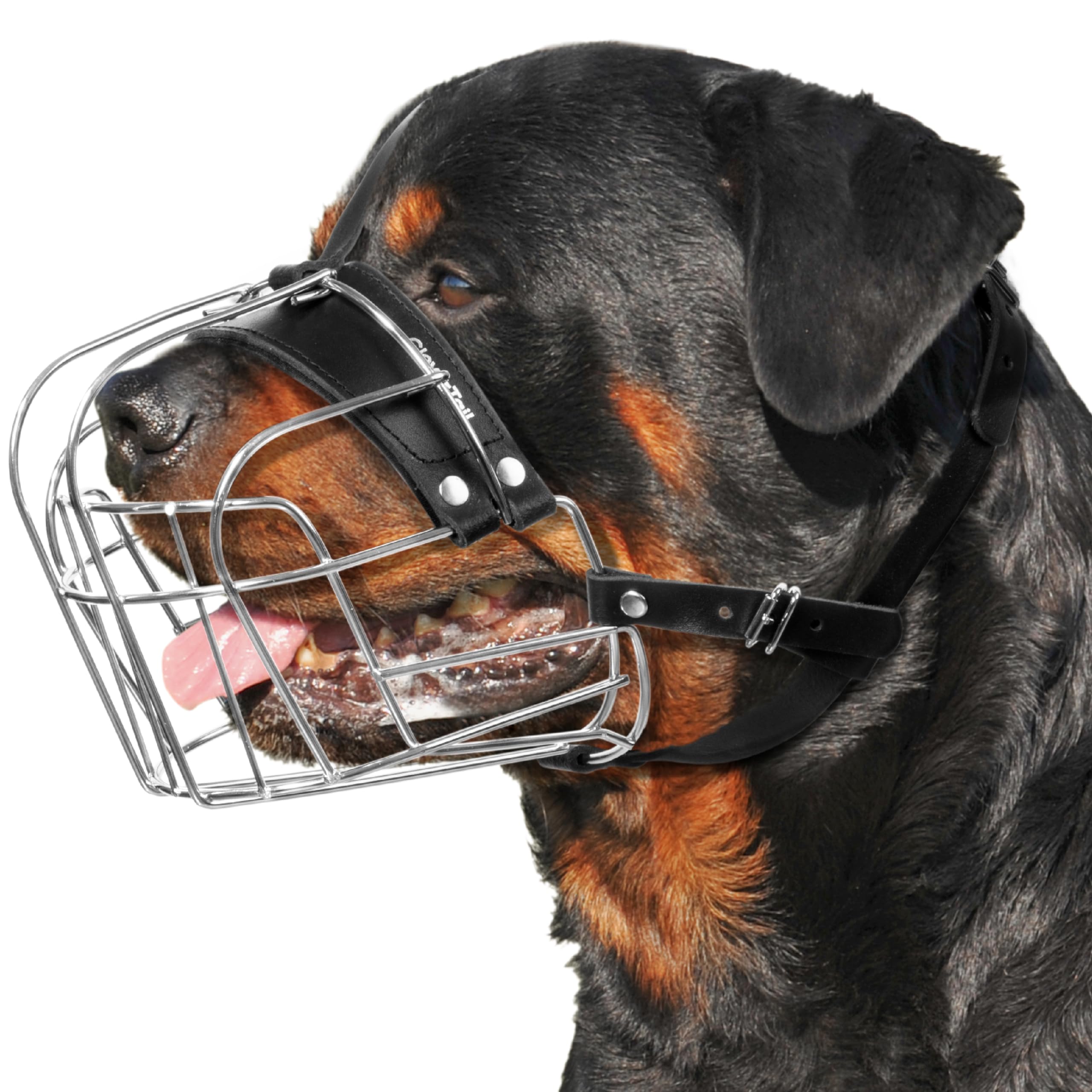 Museau métallique XL CleverTail pour grand chien en action, sécurité lors des promenades.
