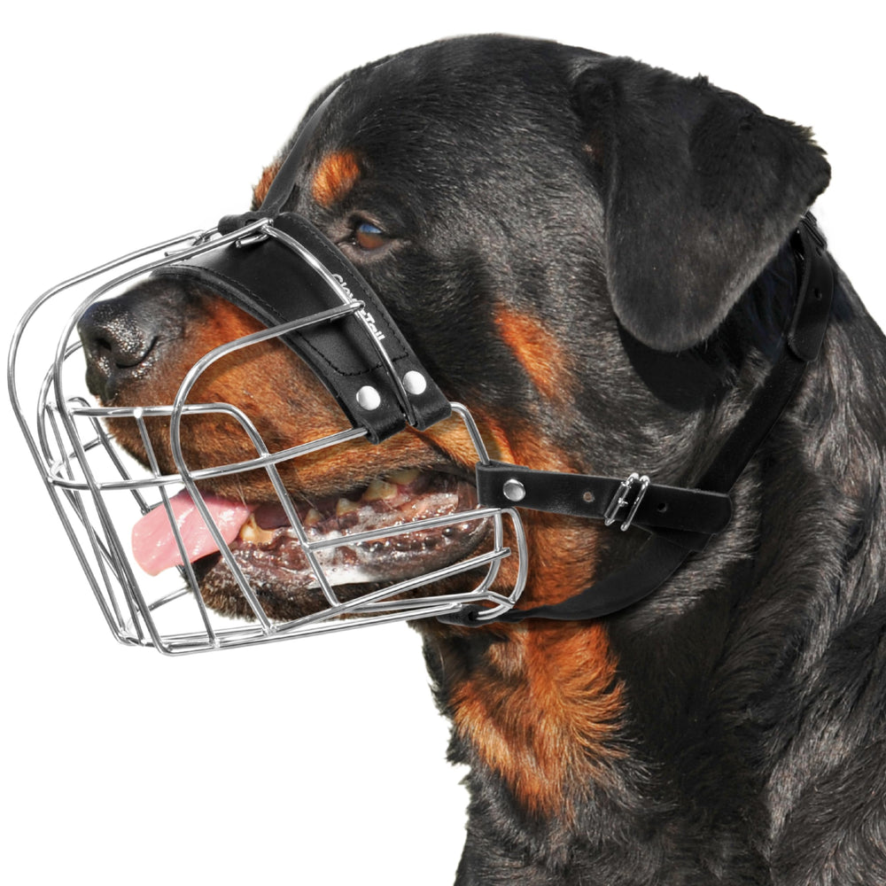 Museau métallique XL CleverTail pour grand chien en action, sécurité lors des promenades.
