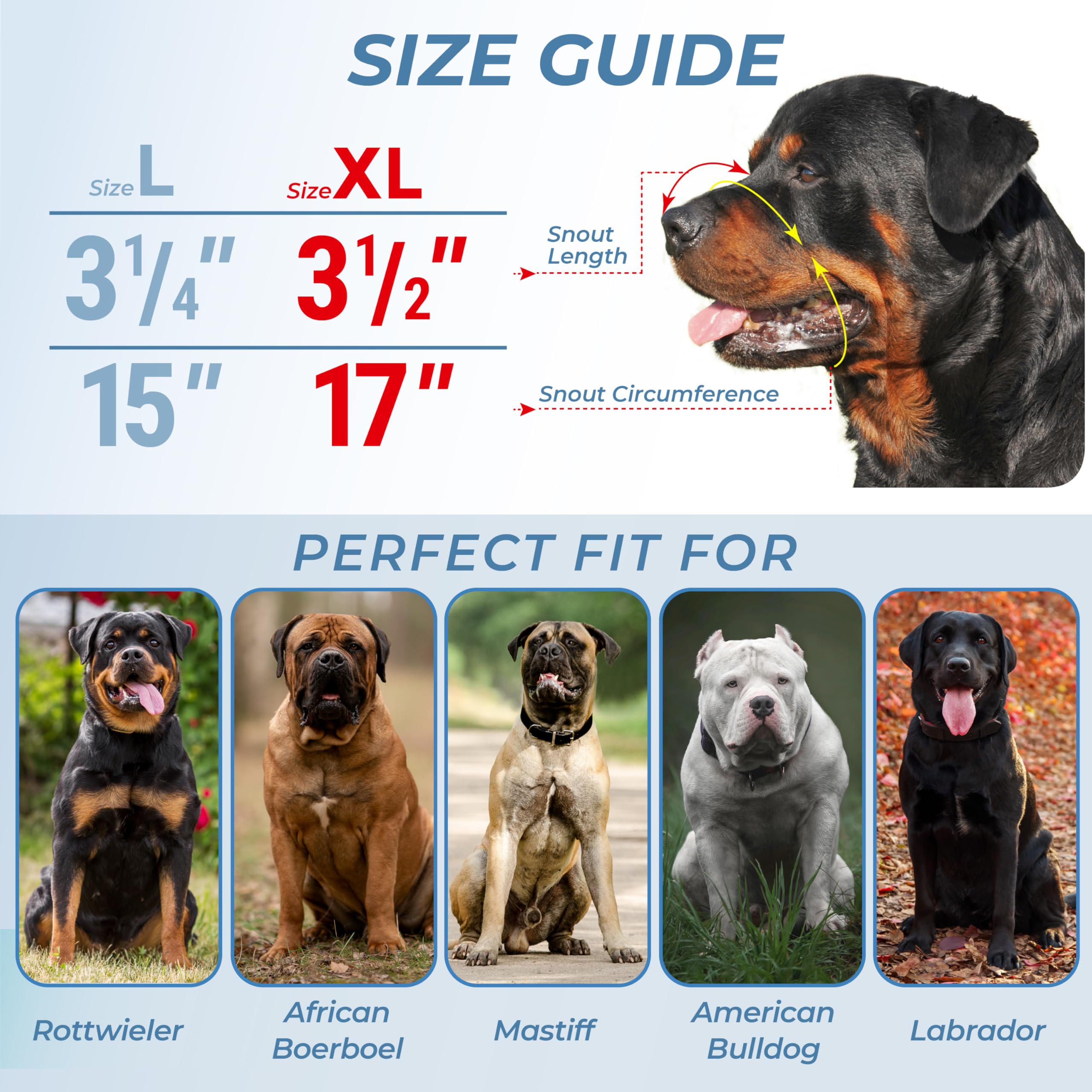Muselière CleverTail XL pour chiens de grande taille, sangles réglables visibles.