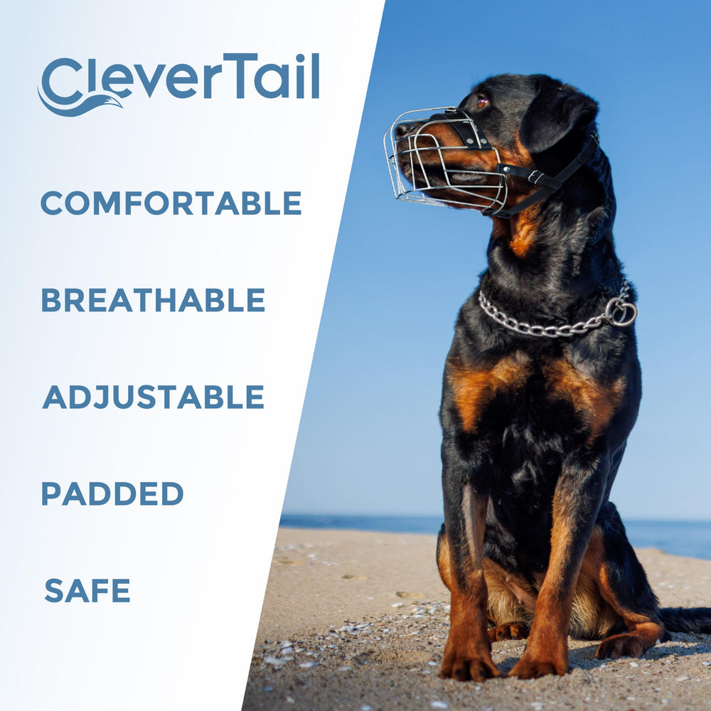 Utilisation pratique de la CleverTail XL lors des sorties et du port prolongé.