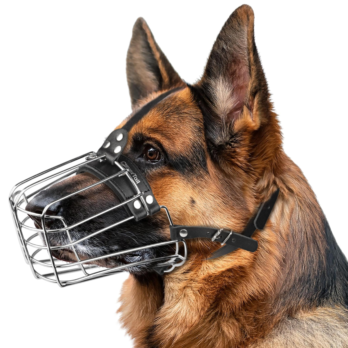 CleverTail muselière cage métal pour Berger Allemand, sécurité lors des balades.