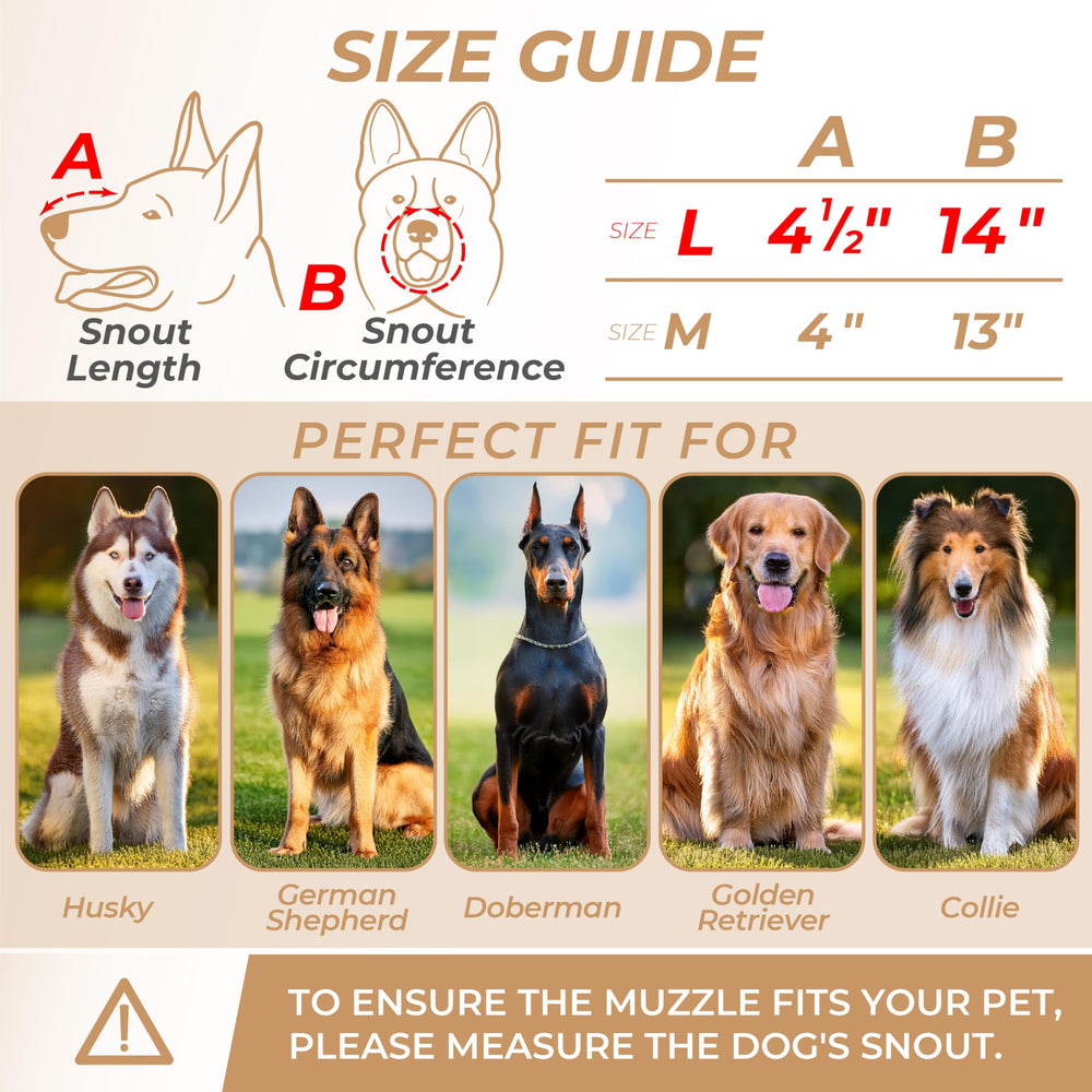 CleverTail muselière cage métal pour Malinois, sécurité et stabilité.
