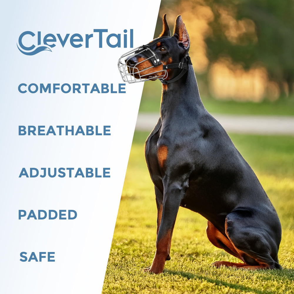 CleverTail emballage soigné et durabilité du produit.
