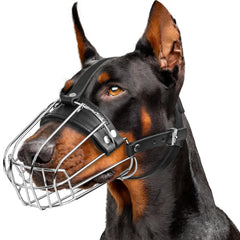 CleverTail muselière en métal pour Doberman grand format, ajustement sûr et durable.