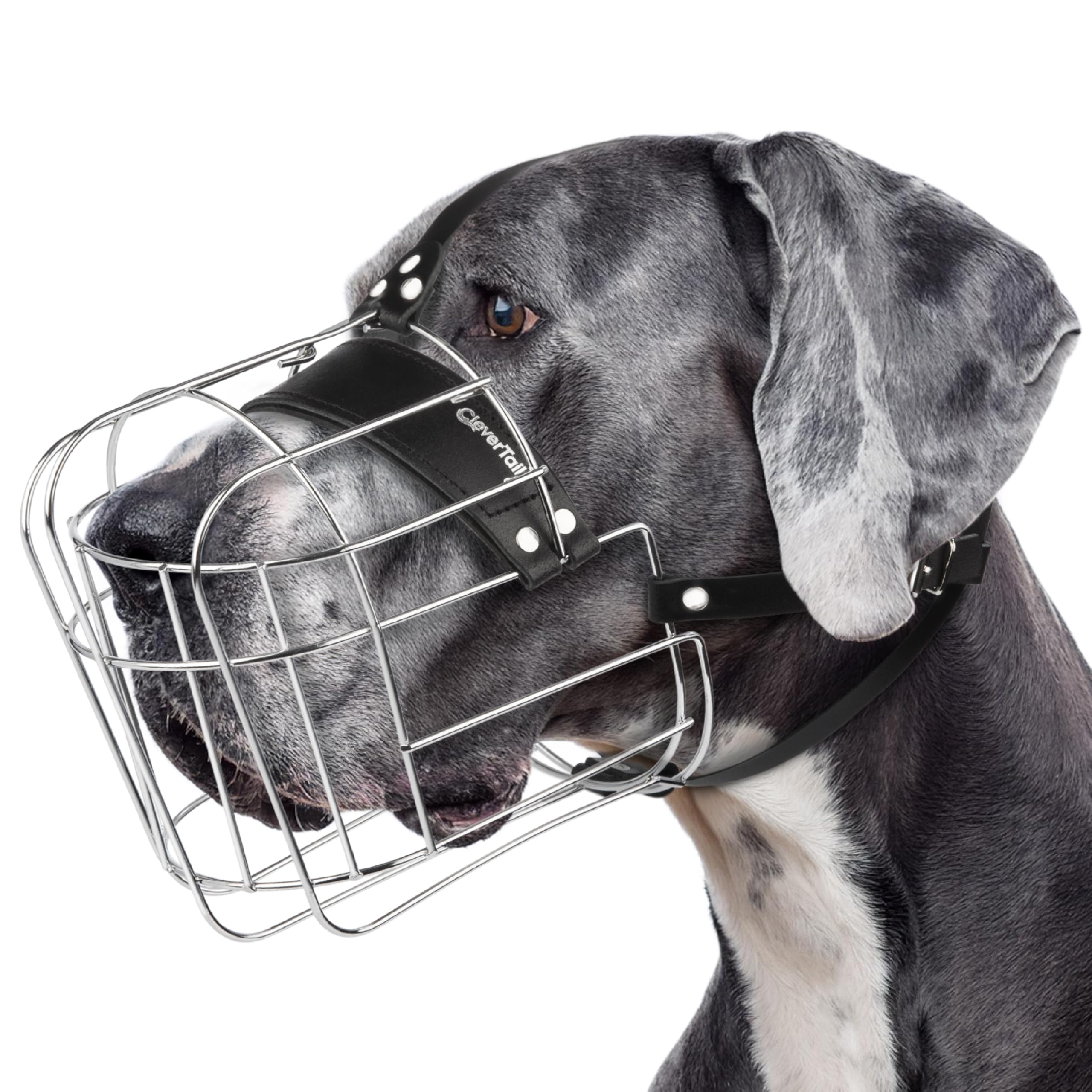 CleverTail Muzzle XXL avec panier métallique pour grand chien, sécurité lors des sorties.