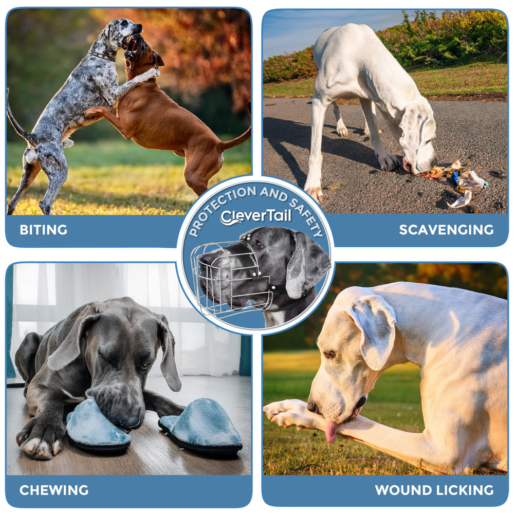 CleverTail Muzzle XXL matériaux durables et résistants pour une longue vie.