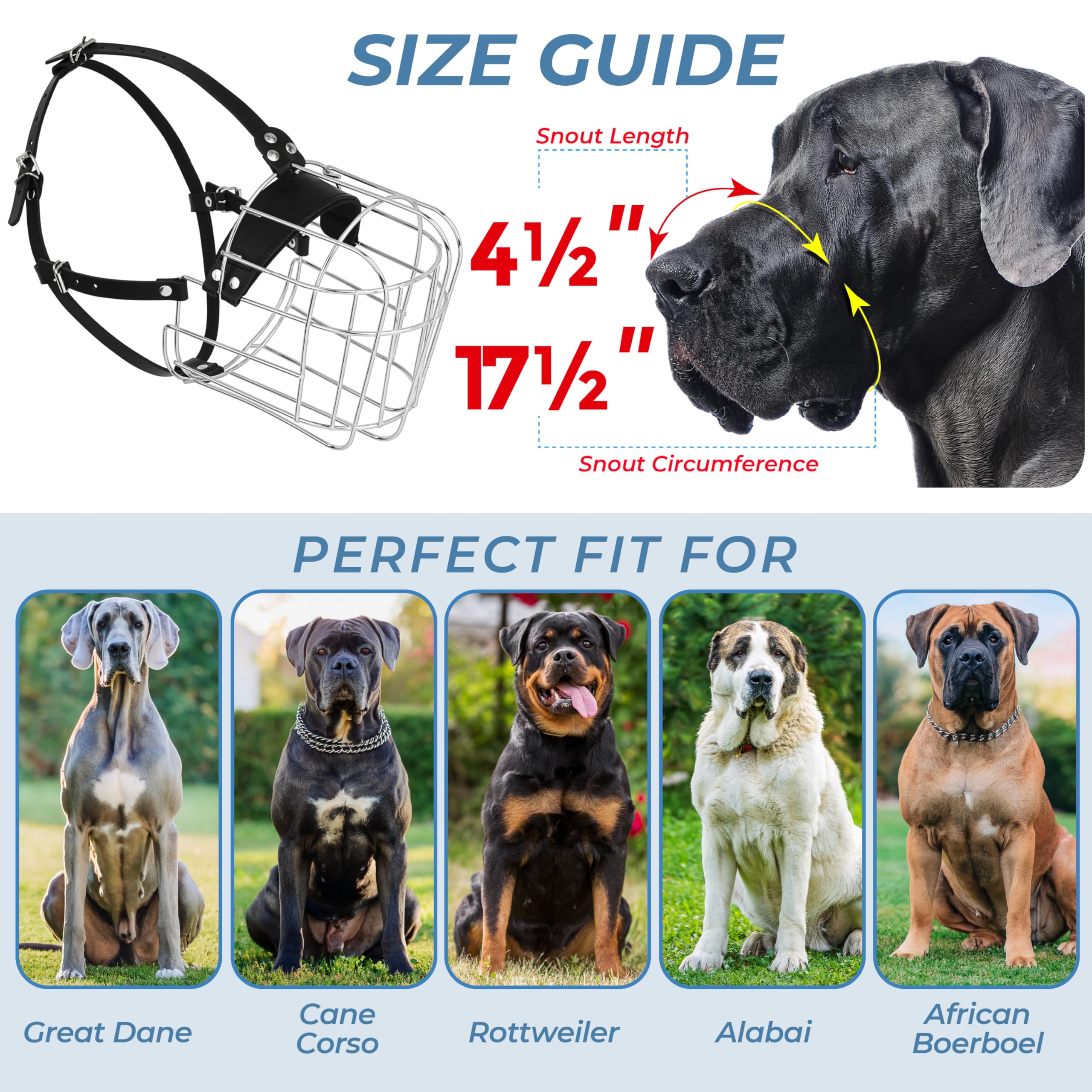 CleverTail Muzzle XXL facilite la respiration et l'hydratation pendant les visites vétérinaires.