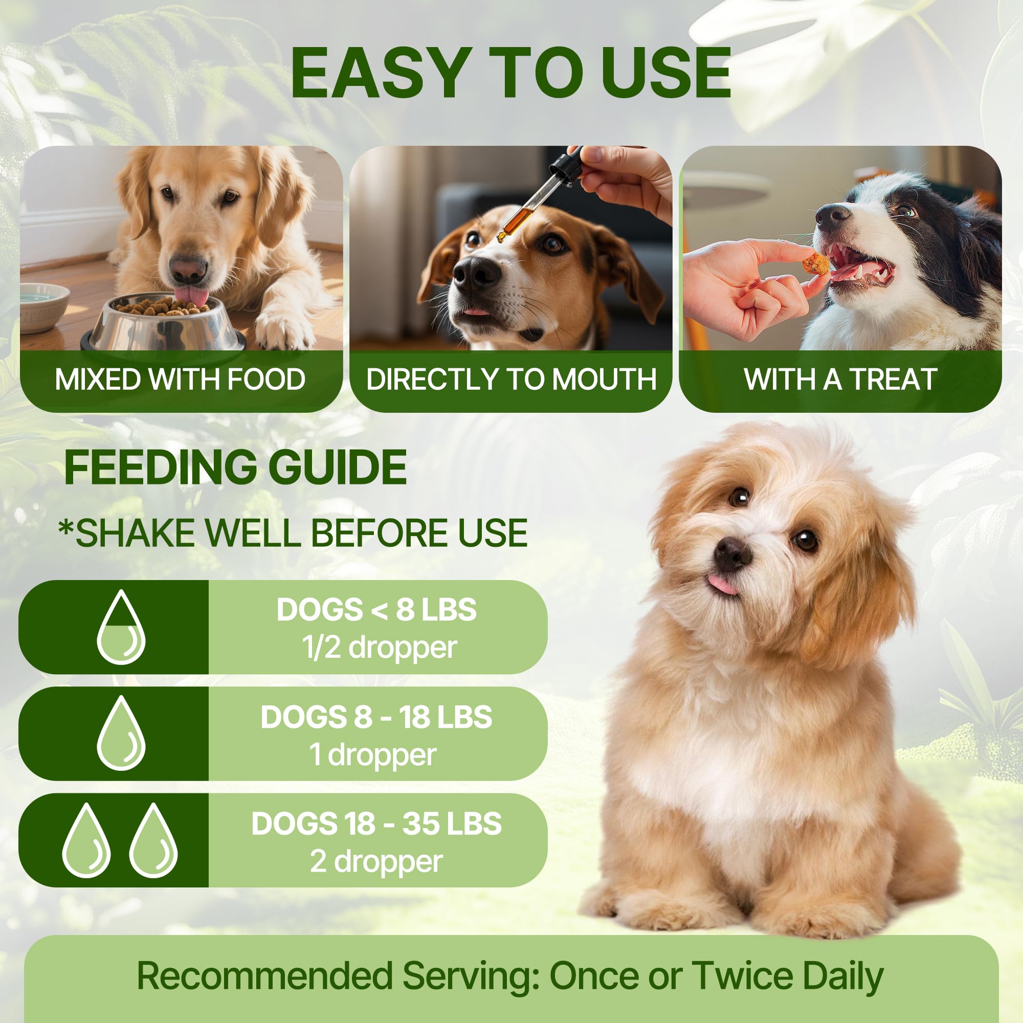 Clidelan Format sans pilules – solution pratique pour chiens récalcitrants.