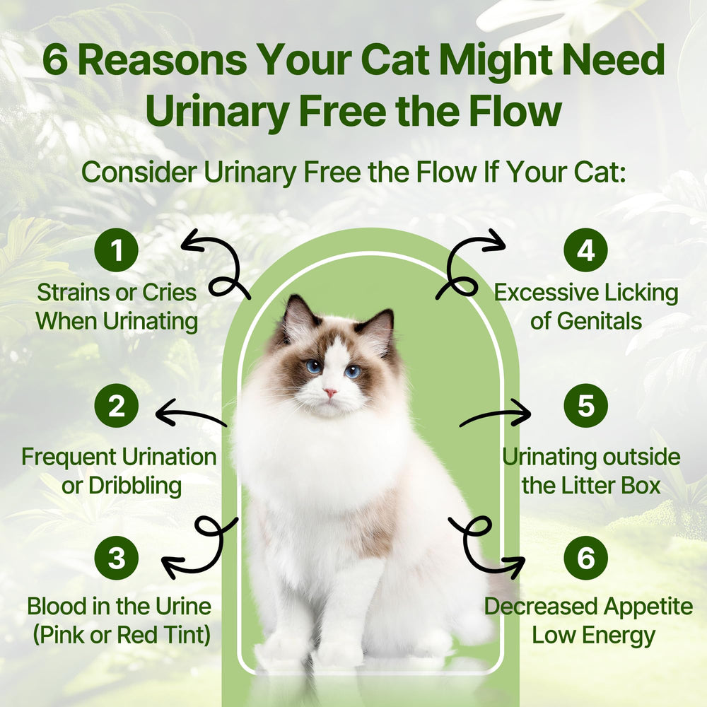 Ingrédients nature De Canneberge: soutien possible à l’hygiène urinaire du chat.