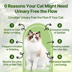 Ingrédients nature De Canneberge: soutien possible à l’hygiène urinaire du chat.
