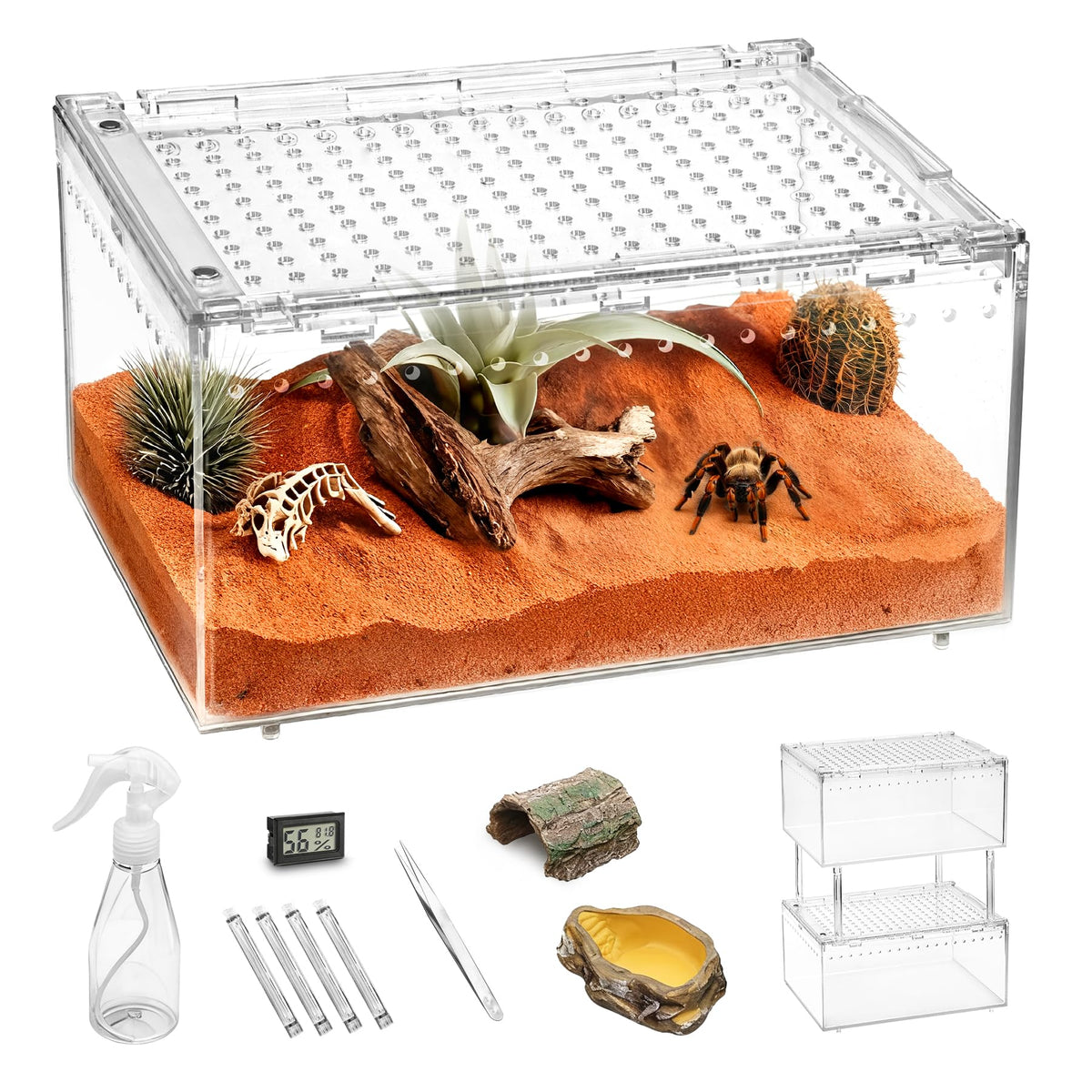 Clioran grand terrarium avec ouverture magnétique pour sécurité et accès facile.