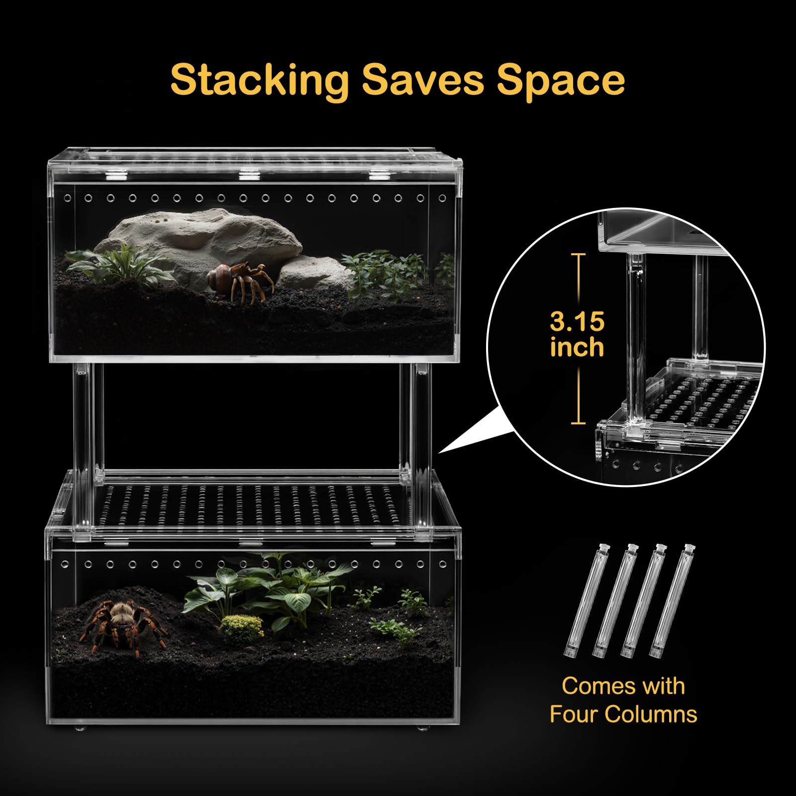Clioran grand terrarium vue 360 transparente pour observer les animaux.