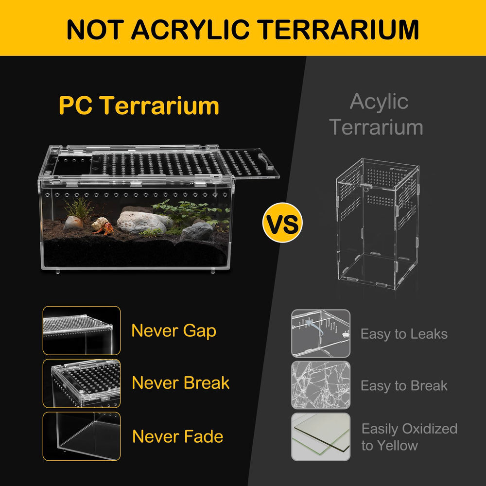 Clioran Terarium PC Habitat insectes: espace idéal pour les arthropodes