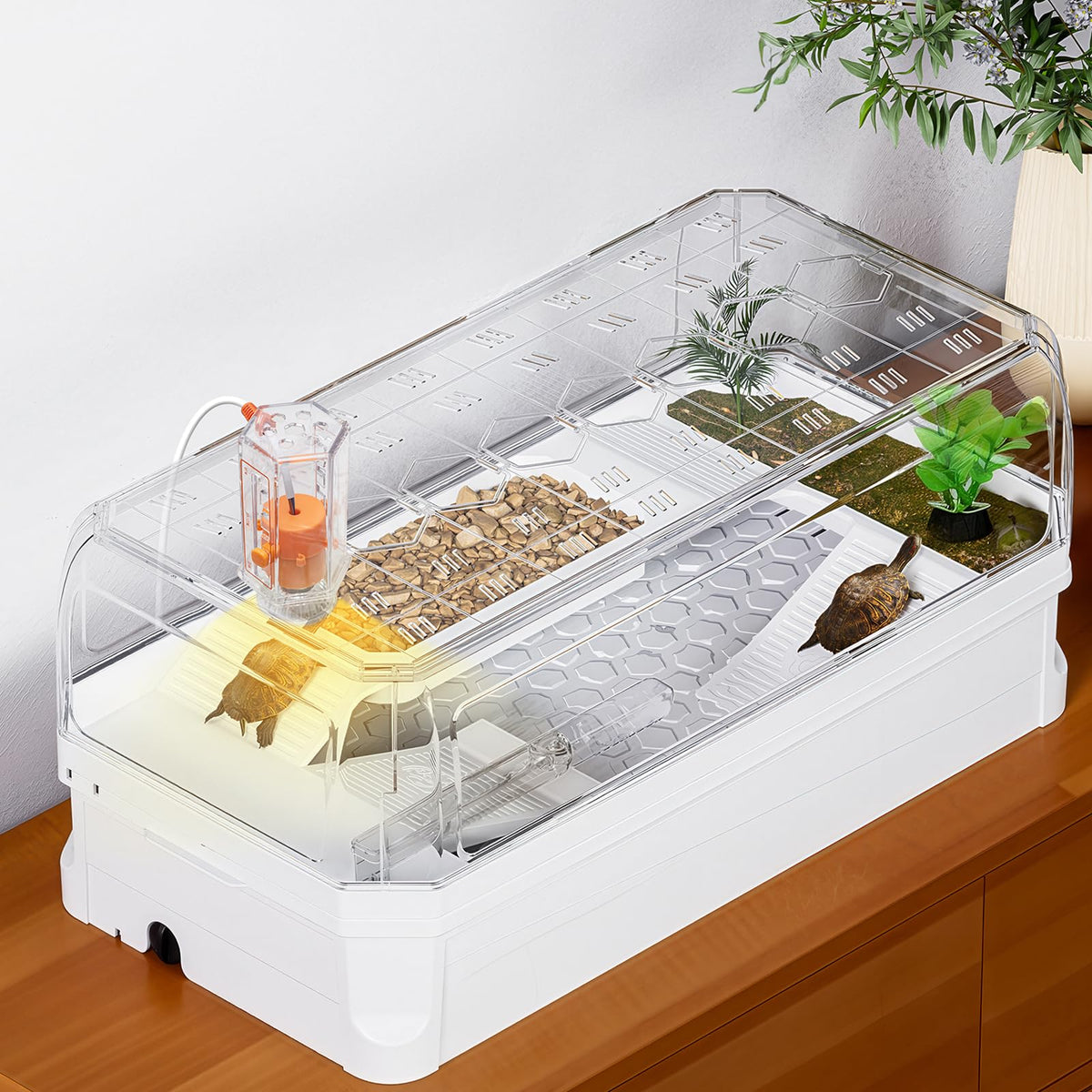 Clioran kit aquarium tortue avec couvercle, sécurité anti-évasion pour jeunes tortues.