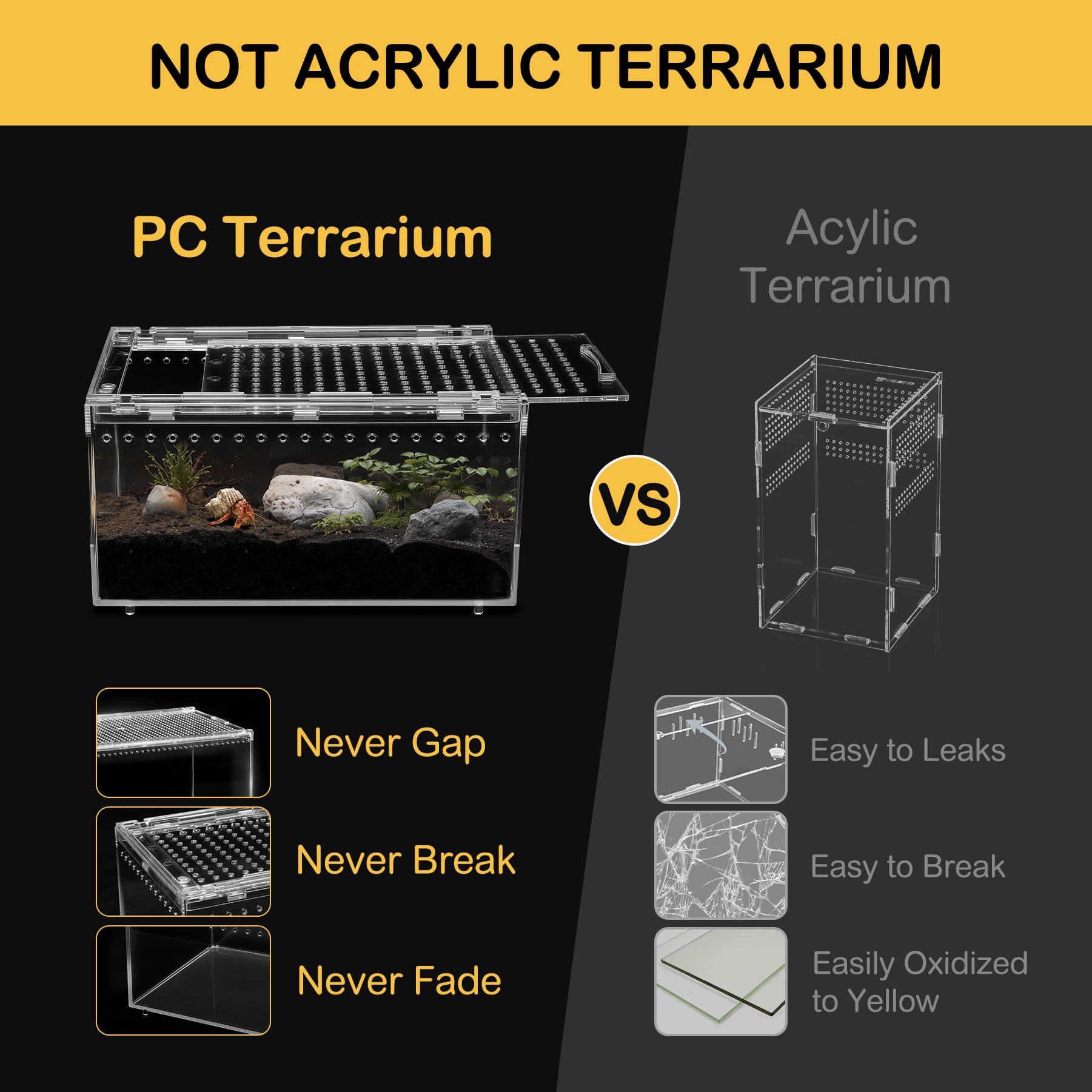 Clioran terrarium PC assemblage simple, idéal pour débutants et enseignants.