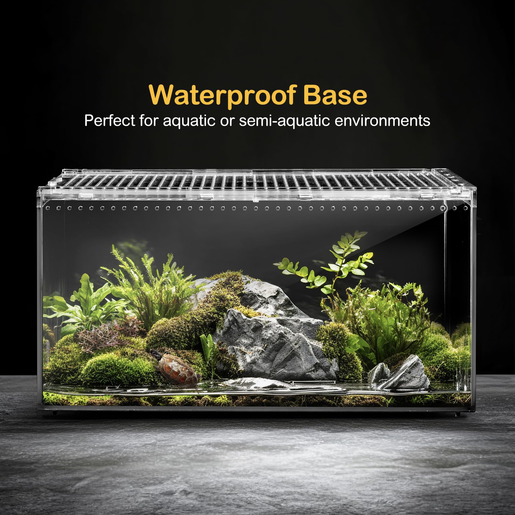 Clioran terrarium PC usage polyvalent pour petits animaux et classes.