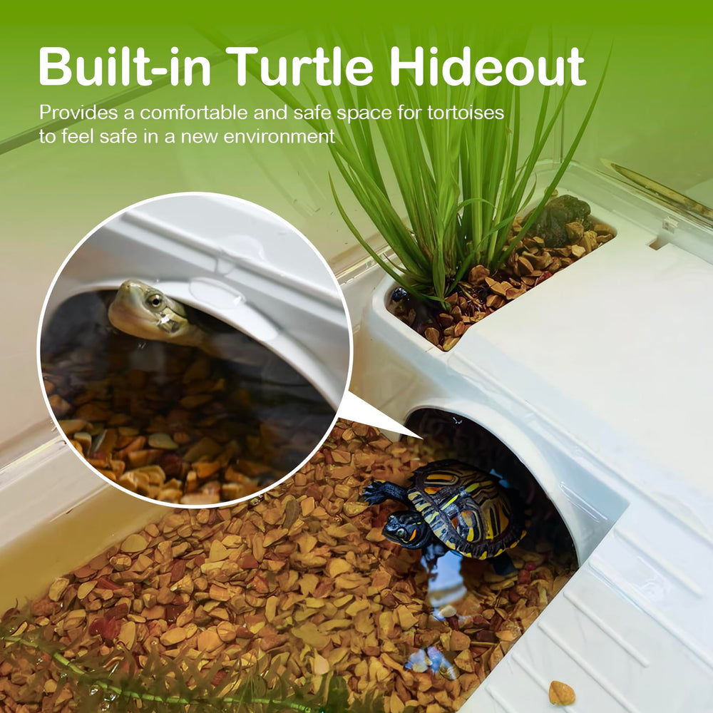 Cliordan tortue-tank: accessoires inclus pour démarrage rapide et entretien pratique.
