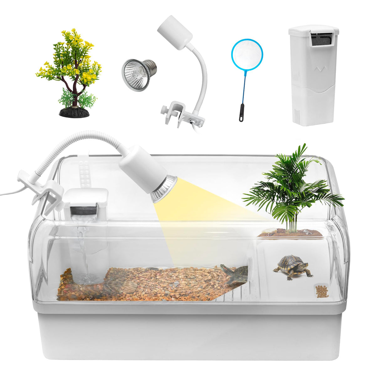 Cliordan tortue-tank: habitat acrylique avec filtre silencieux pour eau claire et observation nette.