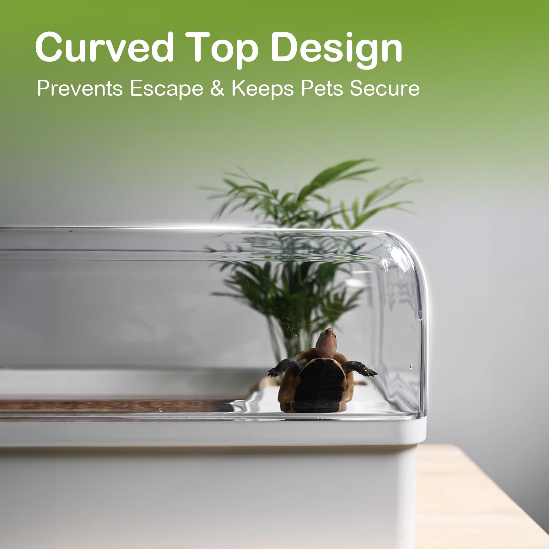 Cliordan tortue-tank: vue 360° claire pour observer les comportements.