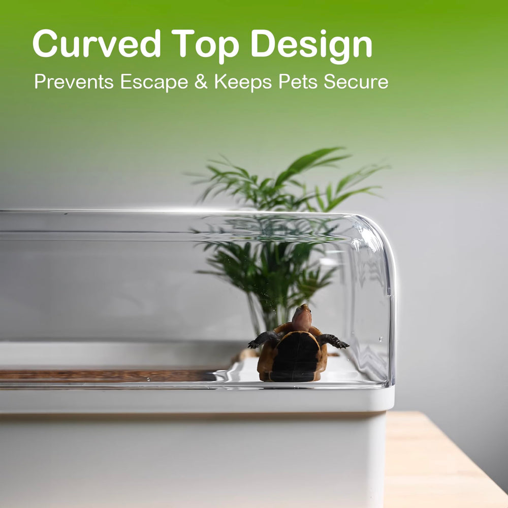 Cliordan tortue-tank: vue 360° claire pour observer les comportements.