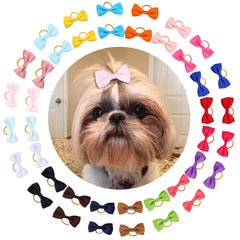 Clipband noeud mini 2 pouces rouge: accessoire adorable pour chien et sorties quotidiennes.