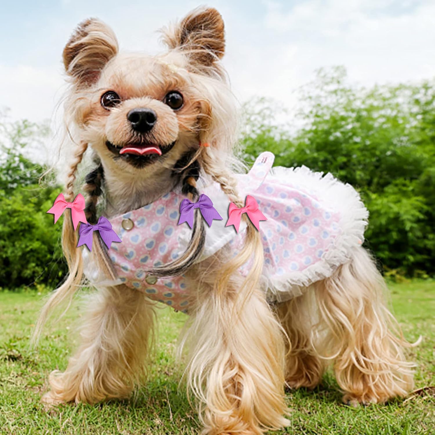 Clipband barrettes chiot elastiques robustes maintiennent les coiffures pendant les promenades.