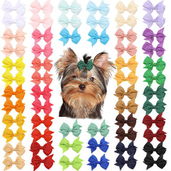 Clipband boucles rouges pour petit chien, parfaites pour coordonner tenues lors des promenades.