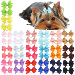 Barrettes Clipband pour chiot mini avec élastiques résistant au maintien.